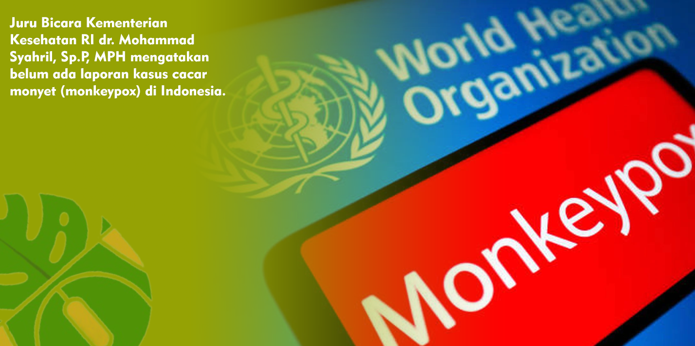 Belum Ada Laporan Kasus Monkeypox, Kemenkes Tetap Waspada